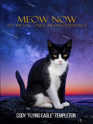 cover image of Meow Now